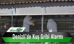 Denizli’de kuş gribi alarmı