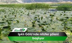 Işıklı Gölü'nde nilüfer şöleni başlıyor