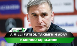 A Milli Futbol Takımı'nın aday kadrosu açıklandı!