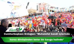 Cumhurbaşkanı Erdoğan: "Muhalefet kendi içlerinde horoz dövüşünden beter bir kavga halinde"
