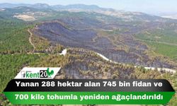 Yanan 288 hektar alan 745 bin fidan ve 700 kilo tohumla yeniden ağaçlandırıldı