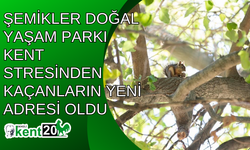 Şemikler Doğal Yaşam Parkı kent stresinden kaçanların yeni adresi oldu