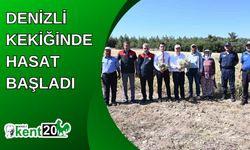 Denizli Kekiğinde hasat başladı