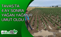 Tavas’ta 4 ay sonra yağan yağmur umut oldu