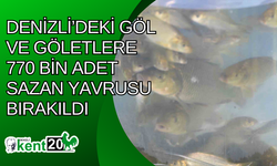 Denizli’deki göl ve göletlere 770 bin adet sazan yavrusu bırakıldı