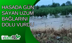 Hasada gün sayan üzüm bağlarını dolu vurdu