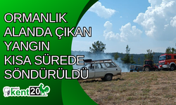 Ormanlık alanda çıkan yangın kısa sürede söndürüldü