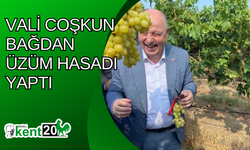 Vali Coşkun bağdan üzüm hasadı yaptı