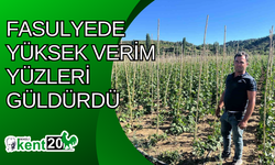 Fasulyede yüksek verim yüzleri güldürdü