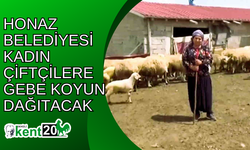 Honaz Belediyesi kadın çiftçilere gebe koyun dağıtacak