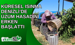 Küresel ısınma Denizli’de üzüm hasadını erken başlattı