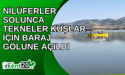 Nilüferler solunca tekneler kuşlar için baraj gölüne açıldı