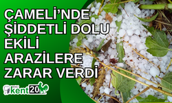 Çameli’nde şiddetli dolu ekili arazilere zarar verdi