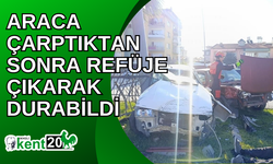 Araca çarptıktan sonra refüje çıkarak durabildi