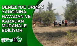 Denizli’de orman yangınına havadan ve karadan müdahale ediliyor