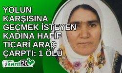 Yolun karşısına geçmek isteyen kadına hafif ticari araç çarptı: 1 ölü