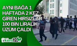 Aynı bağa 1 haftada 2 kez giren hırsızlar 100 bin liralık üzüm çaldı