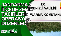 Jandarma 7 ilçede zehir tacirlerine operasyon düzenledi