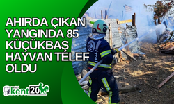 Ahırda çıkan yangında 85 küçükbaş hayvan telef oldu