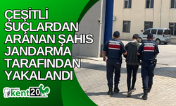 Çeşitli suçlardan aranan şahıs jandarma tarafından yakalandı