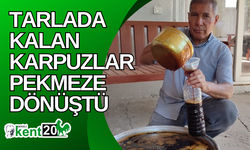 Tarlada kalan karpuzlar pekmeze dönüştü