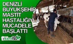 Denizli Büyükşehir mastit hastalığıyla mücadele başlattı