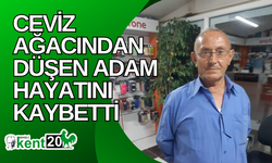 Ceviz ağacından düşen adam hayatını kaybetti