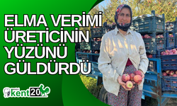 Elma verimi üreticinin yüzünü güldürdü