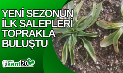 Yeni sezonun ilk salepleri toprakla buluştu