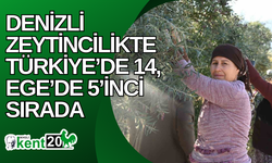 Denizli zeytincilikte Türkiye’de 14, Ege’de 5’inci sırada