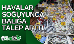 Havalar soğuyunca balığa talep arttı