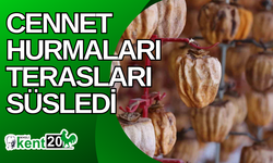 Cennet hurmaları terasları süsledi