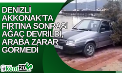 Denizli Akkonak’ta Fırtına Sonrası Ağaç Devrildi, Araba Zarar Görmedi