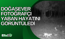 Doğasever fotoğrafçı yaban hayatını görüntüledi