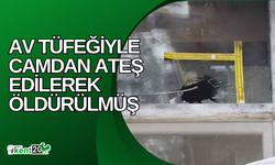 Av tüfeğiyle camdan ateş edilerek öldürülmüş