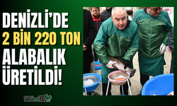 Denizli’deki 101 tesiste 2 bin 200 ton alabalık üretiliyor