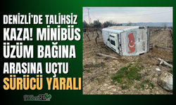 Boş minibüs üzüm bağlarının arasına uçtu: 1 yaralı