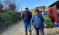 Denizli Büyükşehir, Buldanlı süt üreticilerinin yol sorununu çözdü