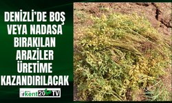 Denizli’de boş veya nadasa bırakılan araziler üretime kazandırılacak