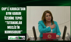 CHP’li Karaca’dan AYM Kararı Üzerine Tepki: “Tutanaklar Meclis’in Namusudur!”