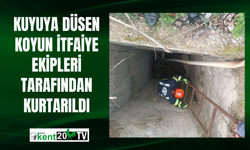 Kuyuya düsen koyun itfaiye ekipleri tarafından kurtarıldı