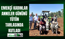 Emekçi kadınlar Anneler Gününü tütün tarlasında kutladı