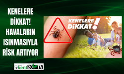 Kenelere Dikkat! Havaların Isınmasıyla Risk Artıyor