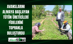 Avanslarını almaya başlayan tütün üreticileri fidelerini toprakla buluşturdu