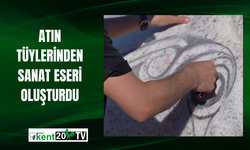 Atın tüylerinden sanat eseri oluşturdu