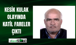 Kesik kulak olayında katil fareler çıktı