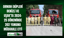 Orman ekipleri Denizli ve Uşak’ta 2024-25 döneminde 202 yangına müdahale etti