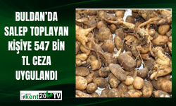 Buldan’da salep toplayan kişiye 547 bin TL ceza uygulandı