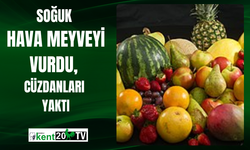 Soğuk Hava Meyveyi Vurdu, Cüzdanları Yaktı