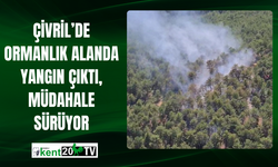 Çivril’de Ormanlık Alanda Yangın Çıktı, Müdahale Sürüyor